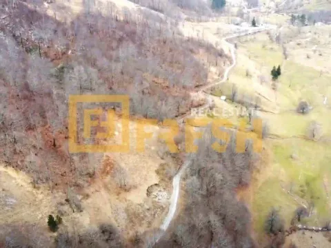 Prodaja, plac, 80000m², Kolašin, Crna Gora - image 2