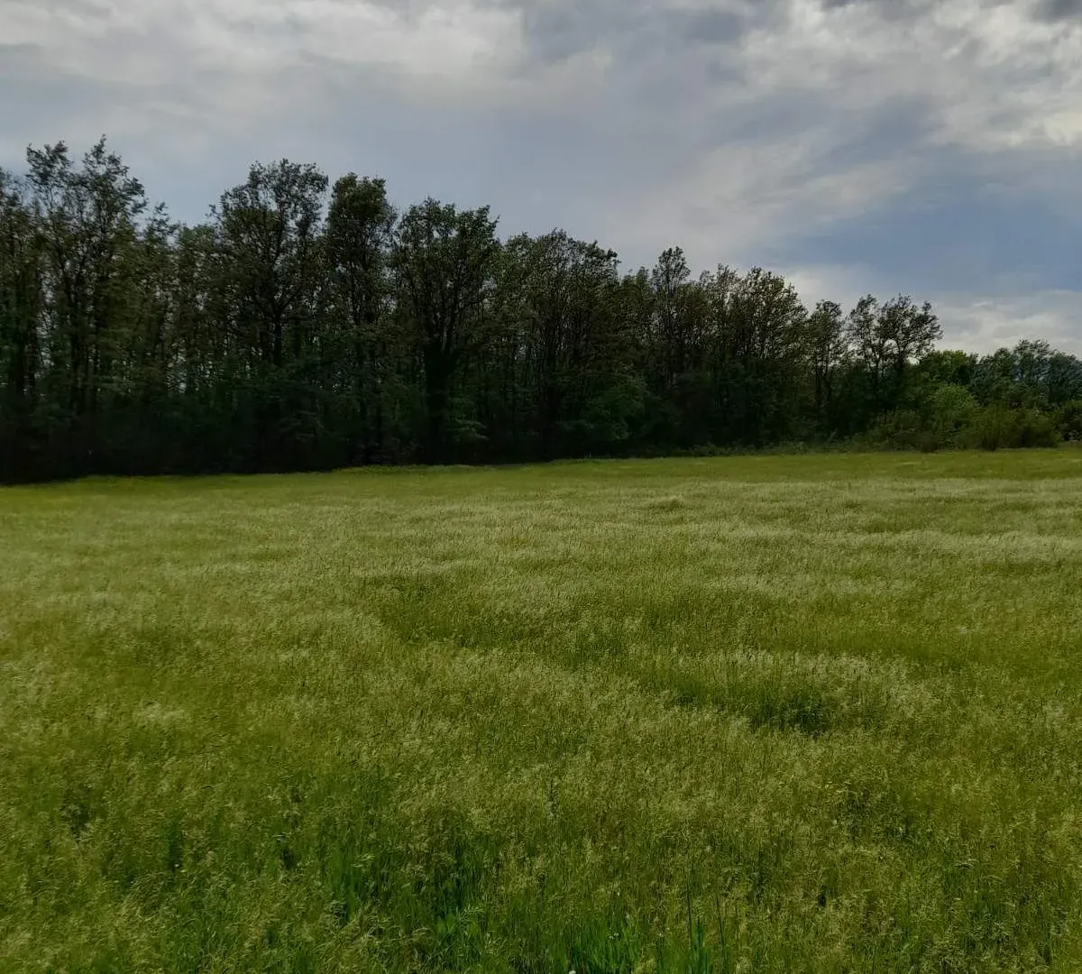 Prodaja, plac, 6220m², Spuž, Danilovgrad