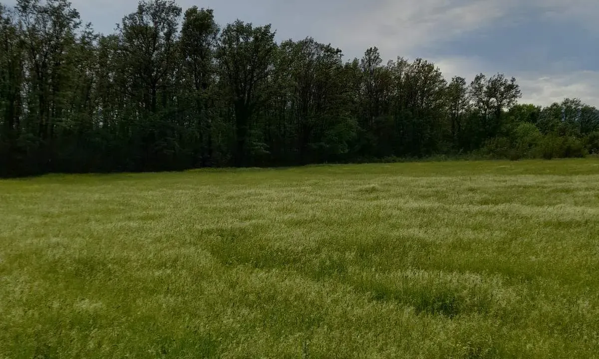 Sale, land lot, 6220m², Spuž, Danilovgrad