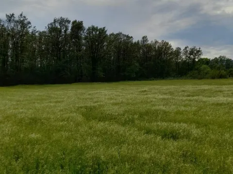 Zemljište in Spuž