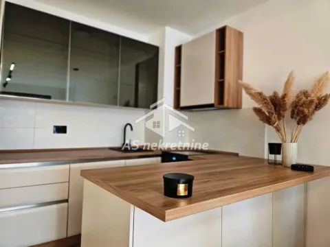 Izdavanje, dvosoban stan, 55m², Hala Pionir, Palilula Sve Podlokacije - image 7