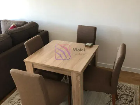 Izdavanje, jednosoban stan, 46m², Central Point, Podgorica - image 9