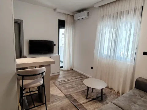 Izdavanje, garsonjera, 21m², Zabjelo, Podgorica - image 5