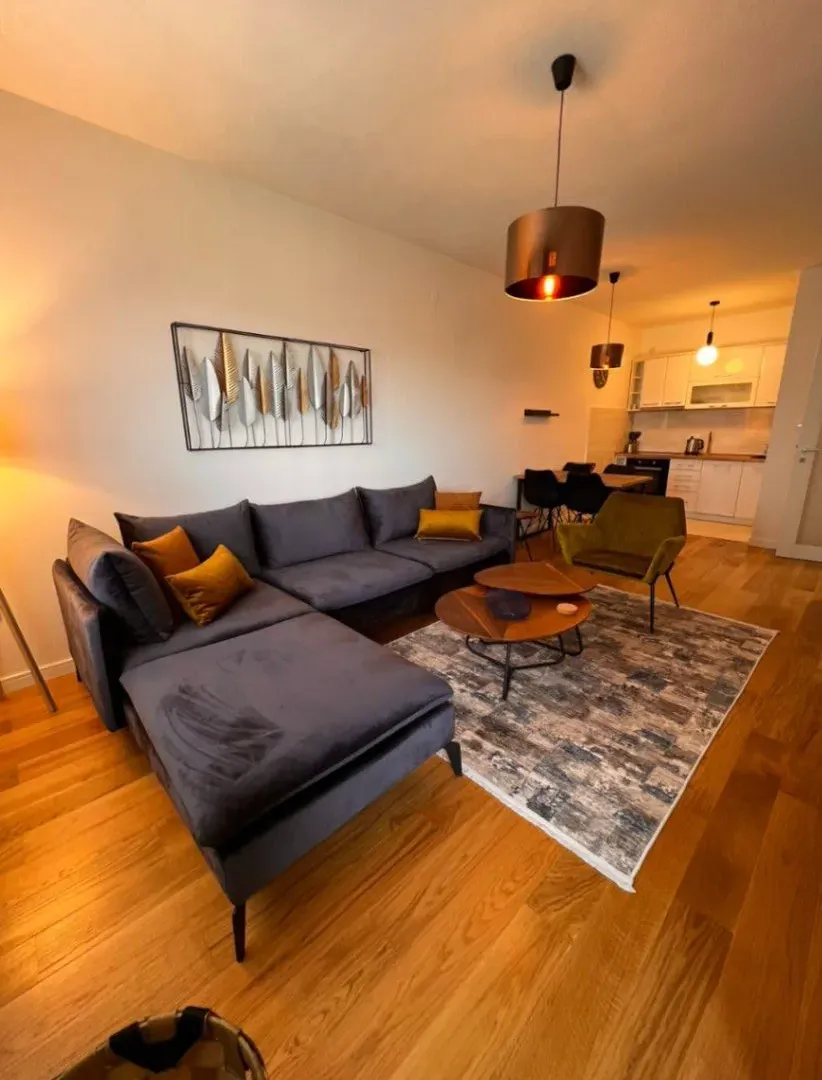 Izdavanje, jednosoban stan, 49m², Central Point, Podgorica