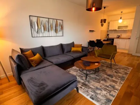 Izdavanje, jednosoban stan, 49m2, Central Point, Podgorica