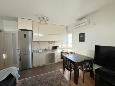 Izdavanje, dvosoban stan, 50m², Preko Morače, Podgorica - image 9