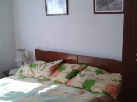 Prodaja, kuća, 470m², Uvač, Kolašin - image 9