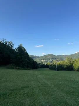 Zelena livada sa pogledom na šumu i brda u pozadini. - image 2
