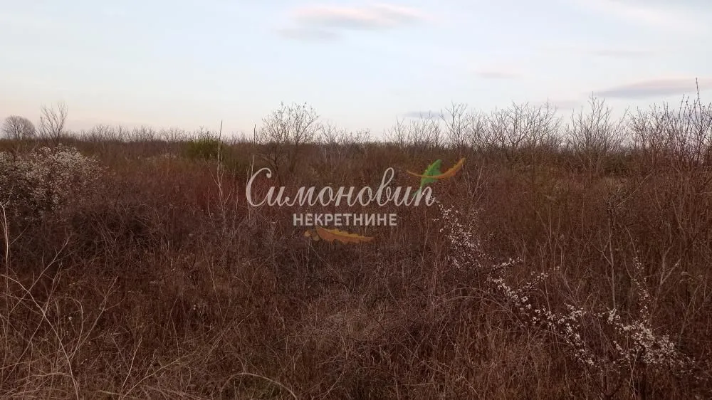 Sale, land lot, 7800m², Železnik, Beograd
