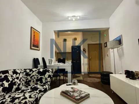 Izdavanje, jednosoban stan, 48m², Vezirov Most, Podgorica - image 2