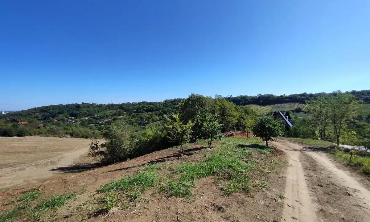 Sale, land lot, 700m², Sremska Kamenica, Petrovaradin