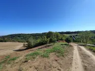 Sale, land lot, 700m², Sremska Kamenica, Petrovaradin