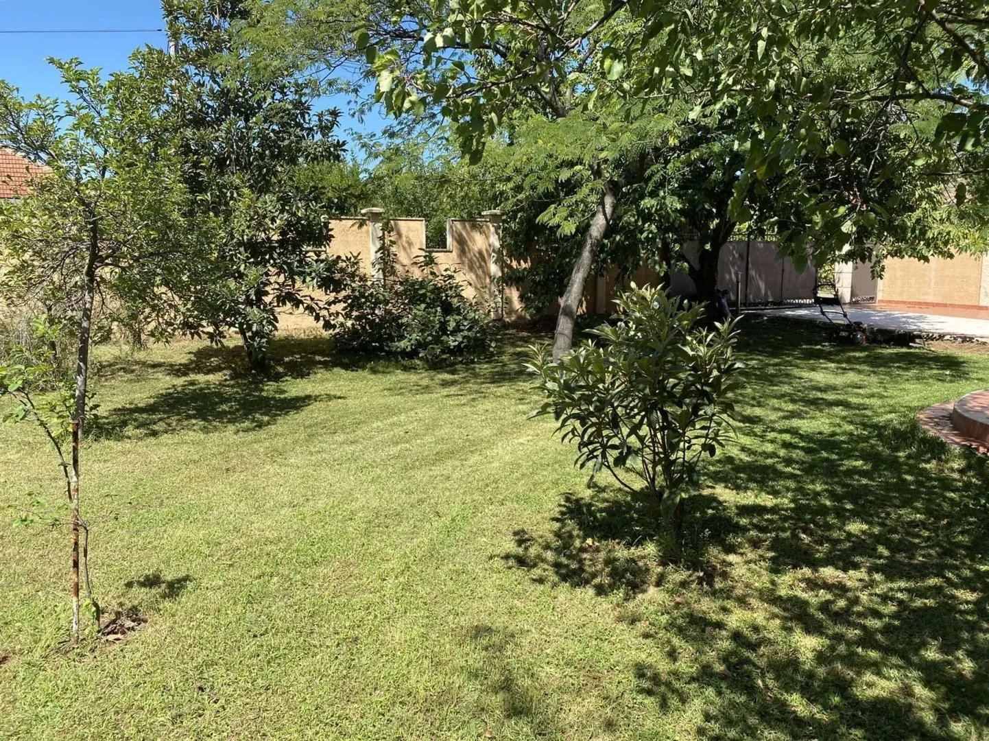 Spacious grassy yard surrounded by trees.