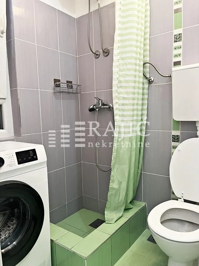 Smaller bathroom with a shower enclosure, toilet, and washing machine.