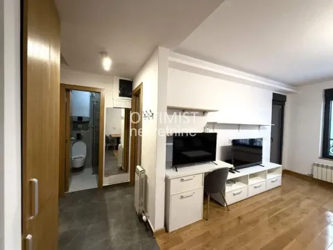 Izdavanje, dvosoban stan, 45m², Botanička Bašta, Palilula Sve Podlokacije - image 5