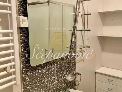 Izdavanje, dvosoban stan, 46m², Centar, Novi Sad - image 2