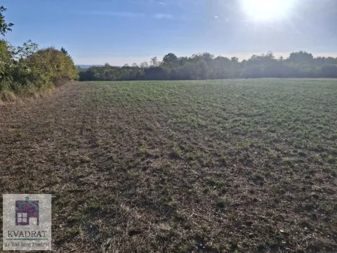Pogled na prostrano zemljište i zelenilo sa drvećem. - image 6