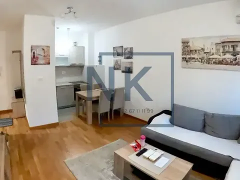 Izdavanje, jednosoban stan, 43m², City Kej, Podgorica - image 3