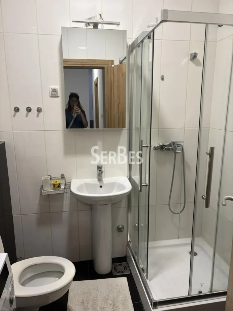Izdavanje, dvosoban stan, 55m², Salajka, Novi Sad Sve Podlokacije