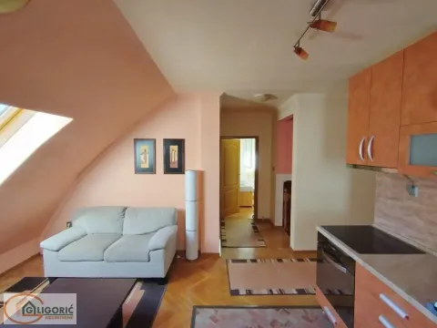 Stan in Vidikovački venac