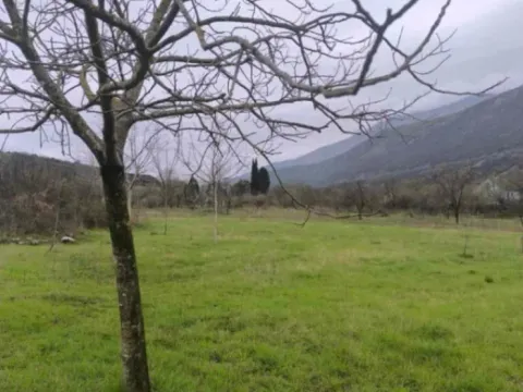 Sale, land lot, 4000m², Kujava, Danilovgrad - image 2