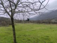 Sale, land lot, 4000m², Kujava, Danilovgrad - image 2