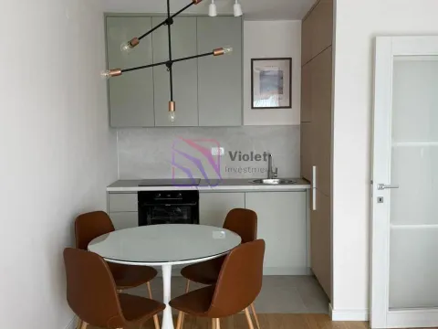 Izdavanje, jednosoban stan, 39m², Pobrežje, Podgorica - image 3