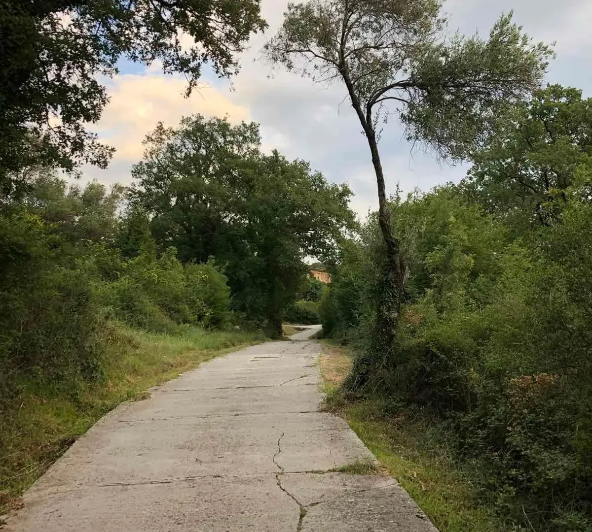 Prodaja, plac, 610m², Sasovići, Herceg Novi