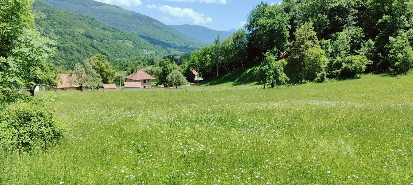 Prodaja, plac, 40000m², Andrijevica, Crna Gora