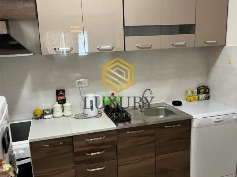 Izdavanje, jednosoban stan, 49m², Central Point, Podgorica - image 3