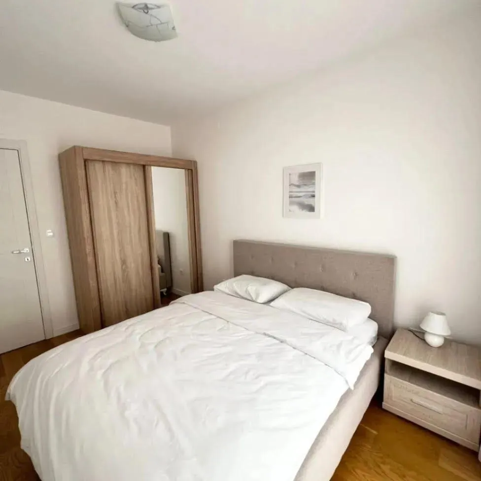 Izdavanje, jednosoban stan, 50m², Central Point, Podgorica