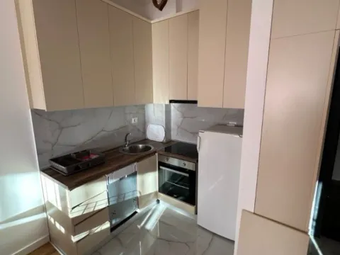 Izdavanje, jednosoban stan, 39m², Zabjelo, Podgorica - image 7