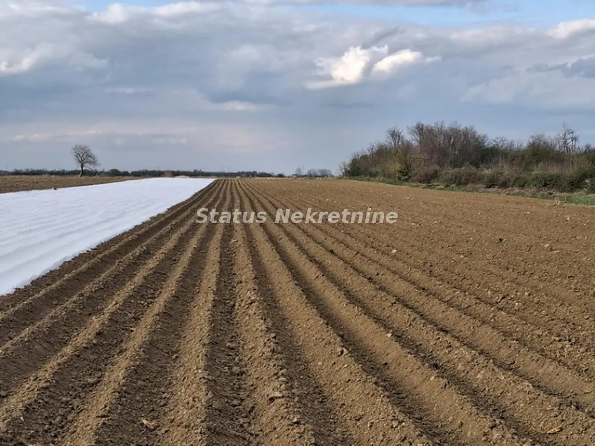 Prodaja, plac, 12710m², Futog, Novi Sad Sve Podlokacije