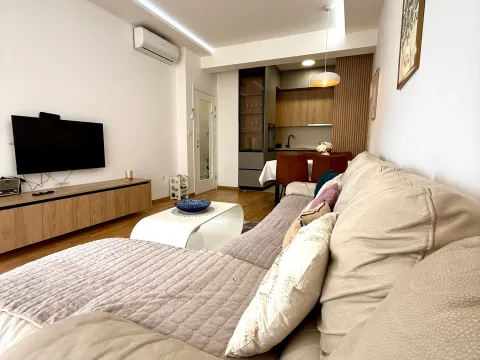 Rent, one bedroom apartment, 45m², Zabjelo, Podgorica - image 3