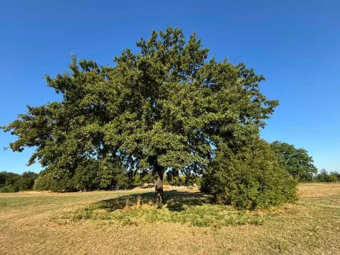 Prodaja, plac, 17168m², Novo Selo, Danilovgrad - image 10