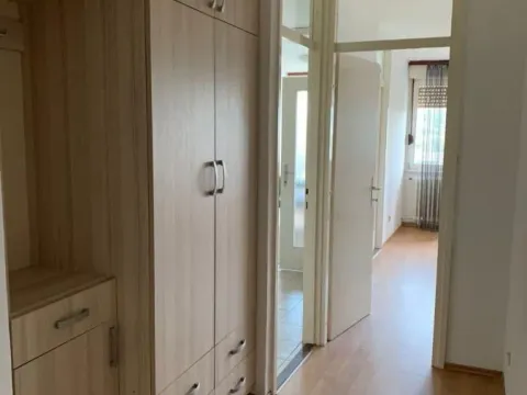 Izdavanje, stan, 44m², Liman 4, Novi Sad Sve Podlokacije - image 2