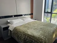One Bedroom Apartment for Short Term Rental, 45m2, Bečići, Budva
