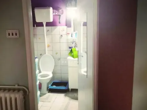 Sale, three bedroom apartment, 66m², Palilula, Niš - image 13