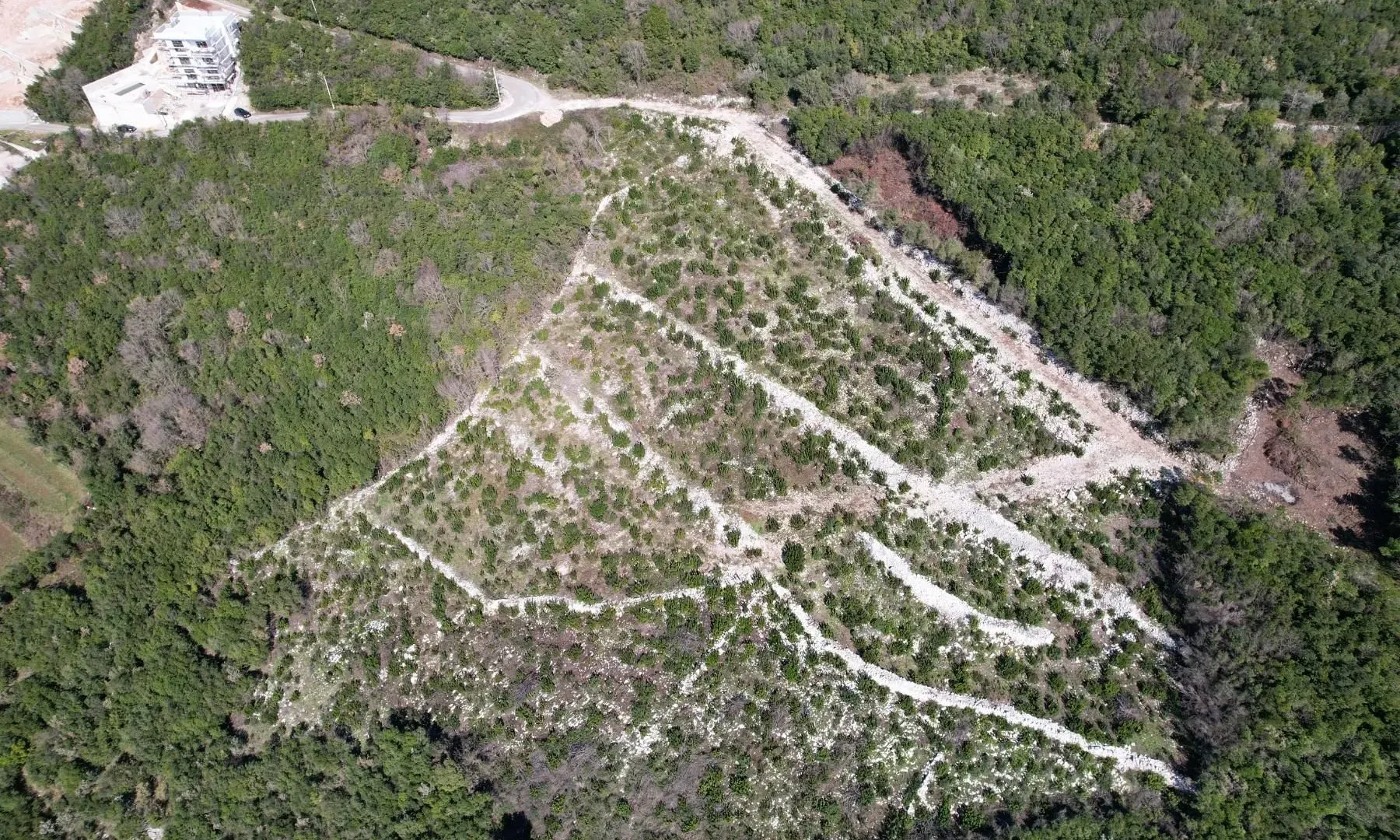 Sale, land lot, 3542m², Višnjevo, Kotor