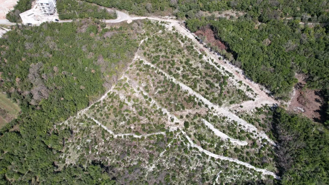 Prodaja, plac, 3542m², Višnjevo, Kotor