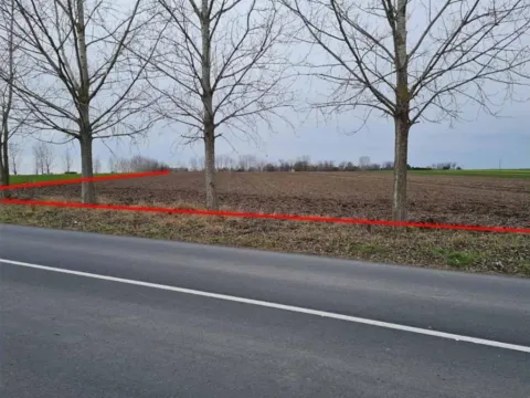 Sale, land lot, 3271m², Palić, Subotica - image 10