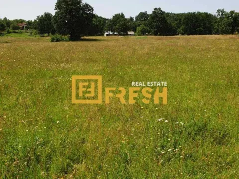 Prodaja, plac, 4430m², Danilovgrad, Crna Gora - image 9