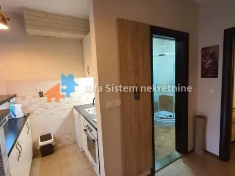 Izdavanje, stan, 40m², Lion, Zvezdara Sve Podlokacije - image 10
