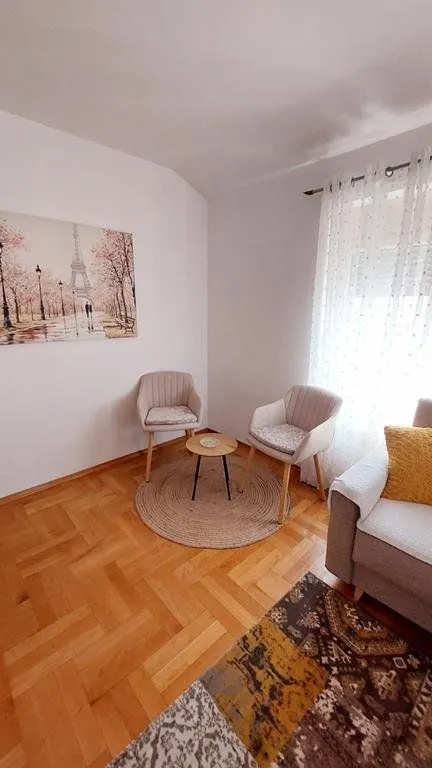 Izdavanje, jednosoban stan, 45m², Stari Aerodrom, Podgorica
