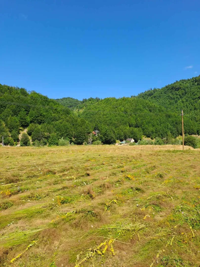 Pogled na prostranu livadu i šumovito brdo.