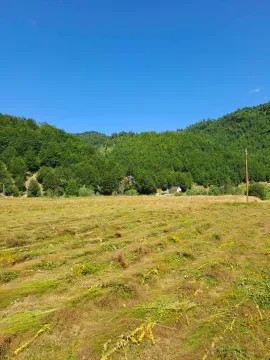 Pogled na prostranu livadu i šumovito brdo. - image 5