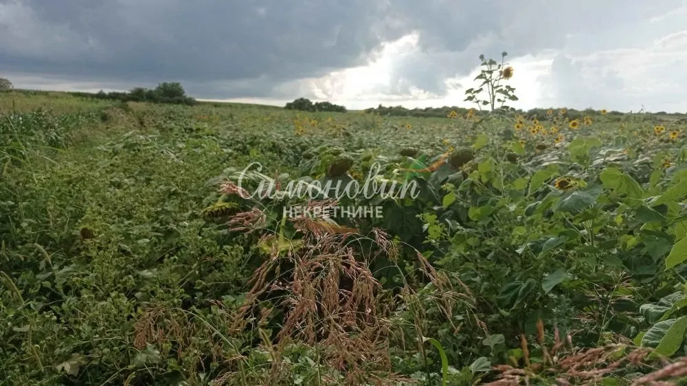 Sale, land lot, 2800m², Železnik, Beograd