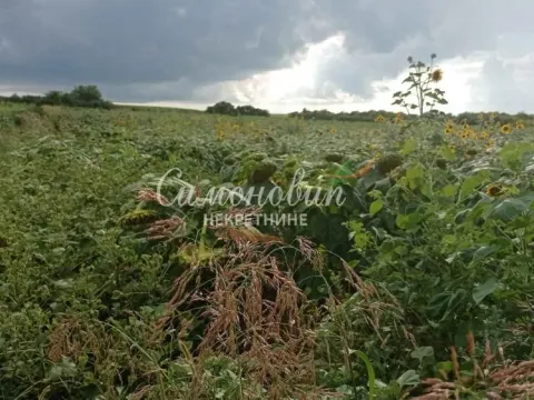 Sale, land lot, 2800m², Železnik, Beograd - image 7