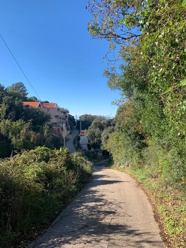 Prodaja, plac, 1594m², Utjeha, Bar