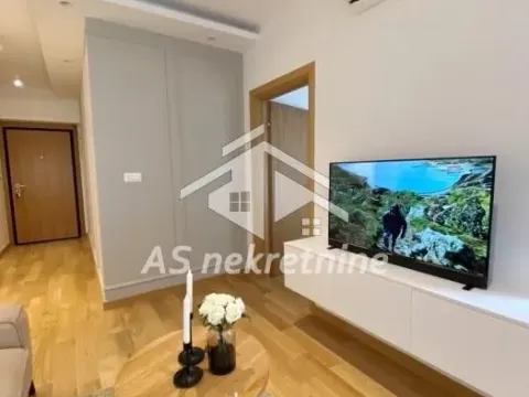 Rent, two bedroom apartment, 45m², Južni Bulevar, Vračar Sve Podlokacije - image 6